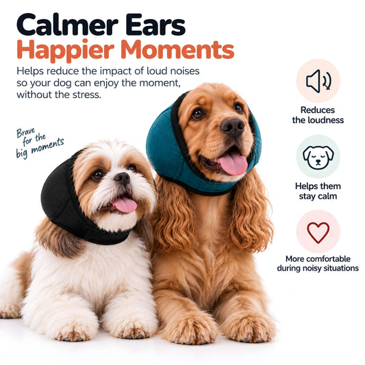 StayCalm Ear Muffs