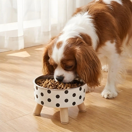 Dine & Shine Elevated Pet Bowl