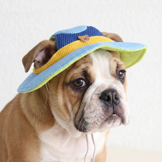 Breezy The Pet Hat