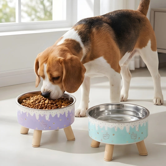 Nom-Nom Drippy Elevated Pet Bowl