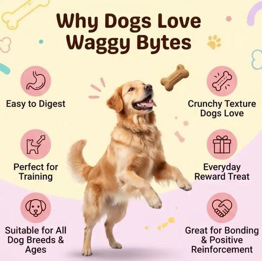 Waggy Bytes Classic Crunchy Biscuits