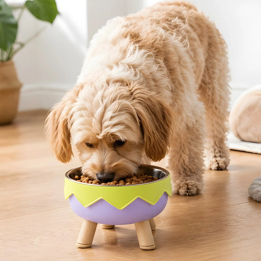 Nom-Nom Eggshell Elevated Pet Bowl