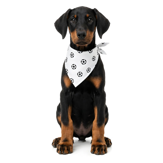 Drooly Doodle Scarf