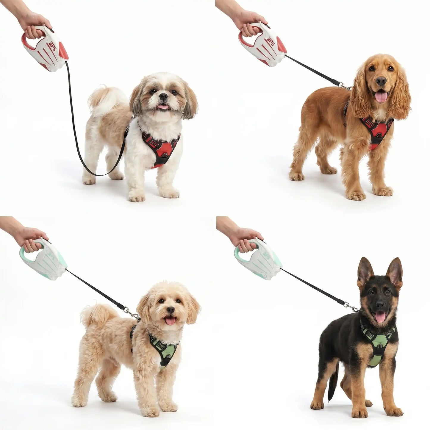 Blush Puppies Stride Retractable Leash