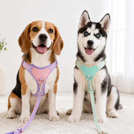 Candy Cloud Harness & Leash Set