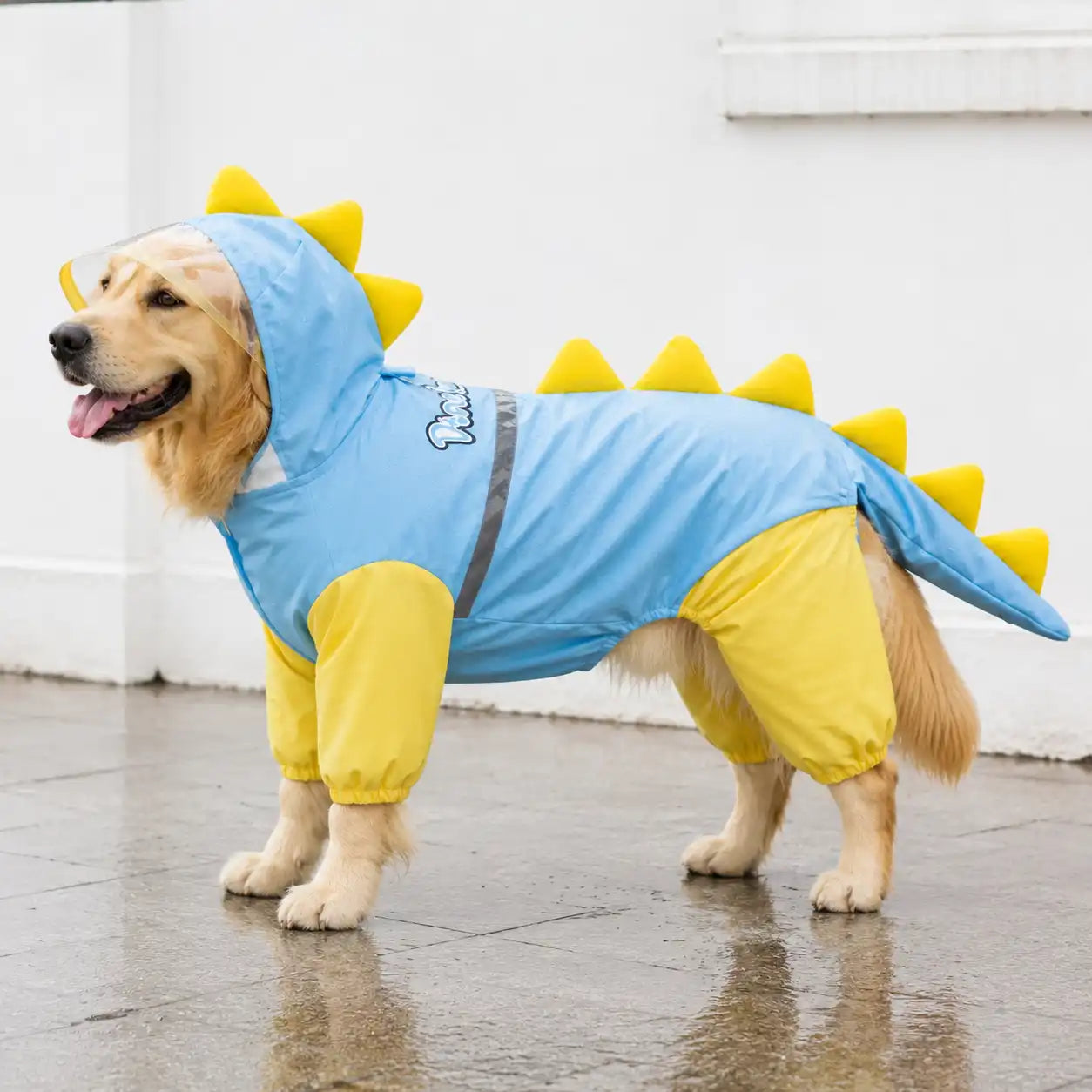 Rainosaurus 360° Dog Raincoat
