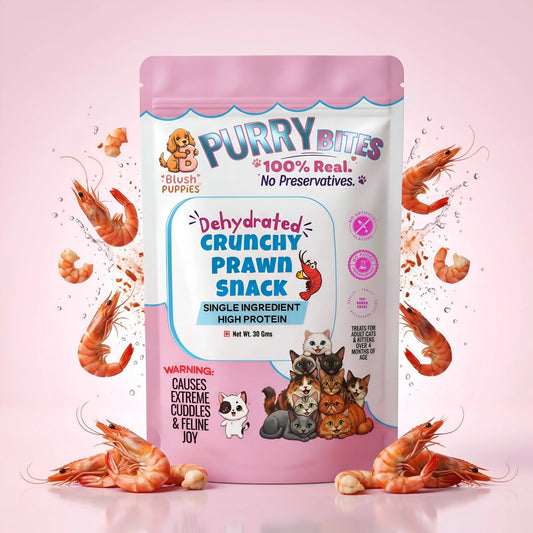 PURRY Bites Dehydrated Crunchy Prawn Snack