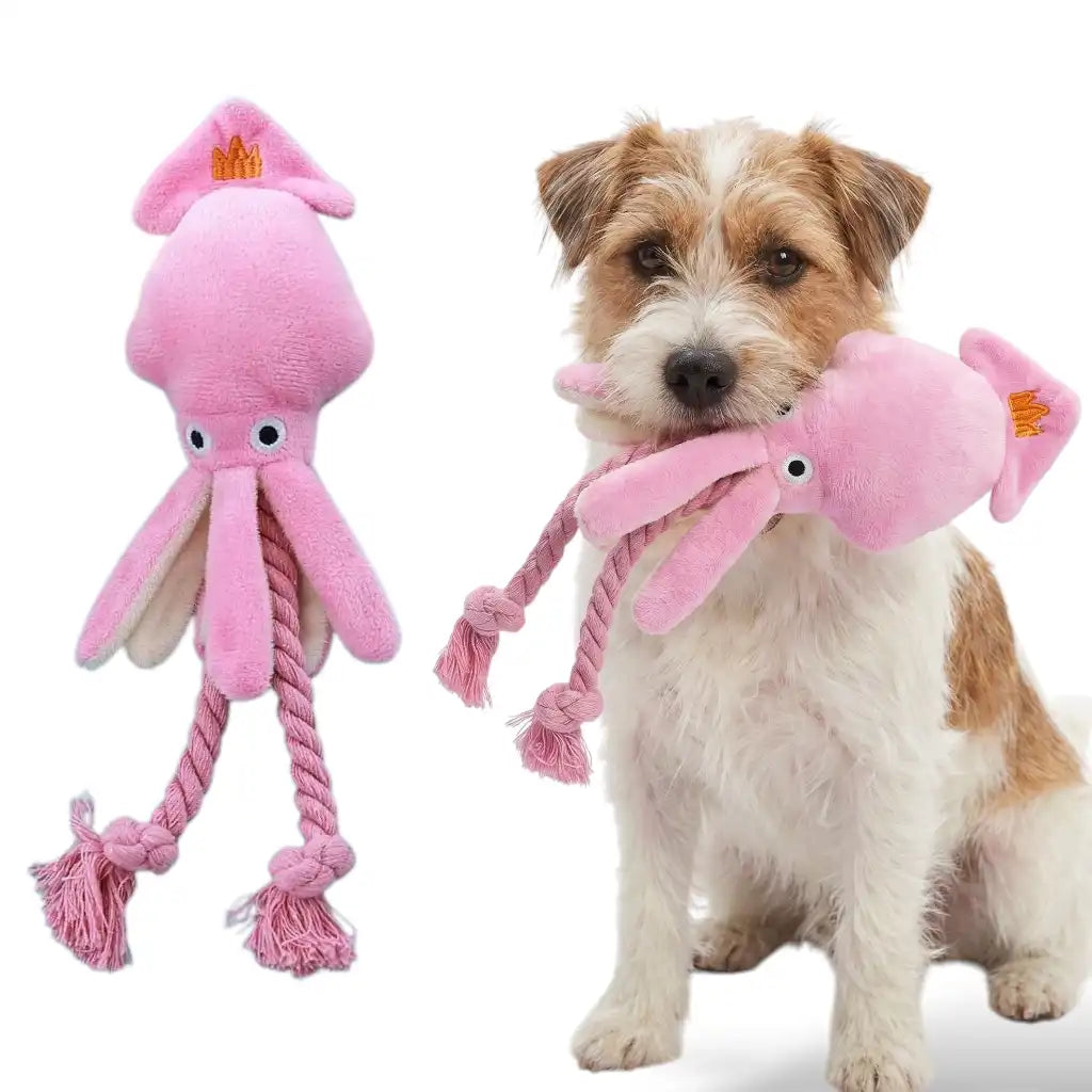 Squiddy The Plush Toy