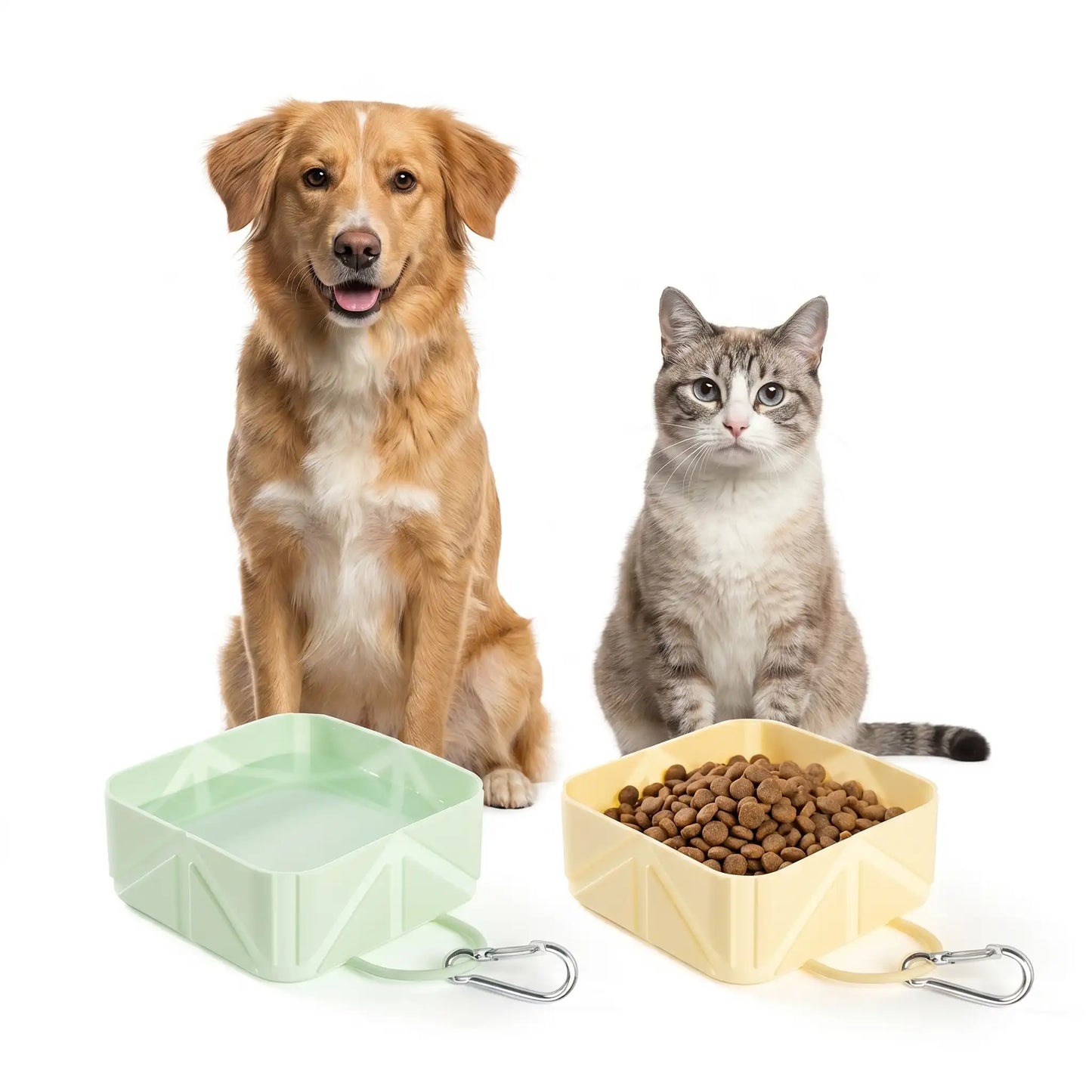 Fold & Go Bowl for Pets