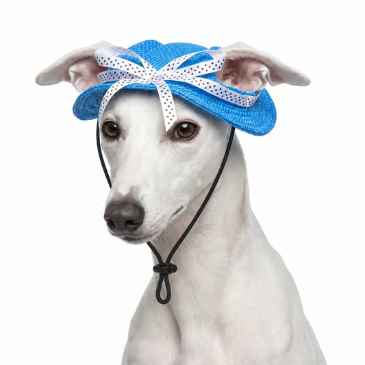 The Pretty Princess Hat