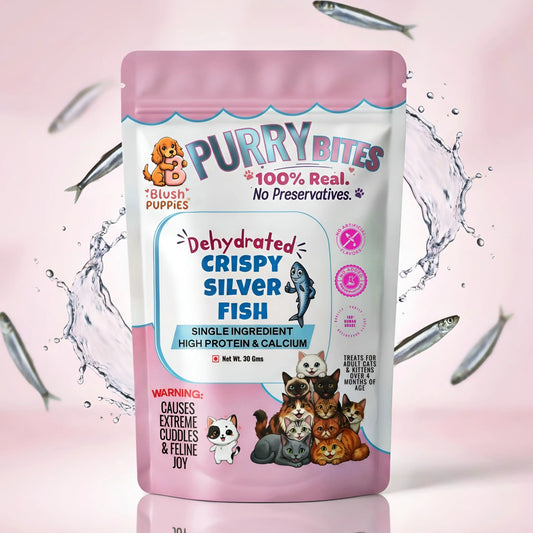 PURRY Bites Dehydrated Crispy Silver Fish