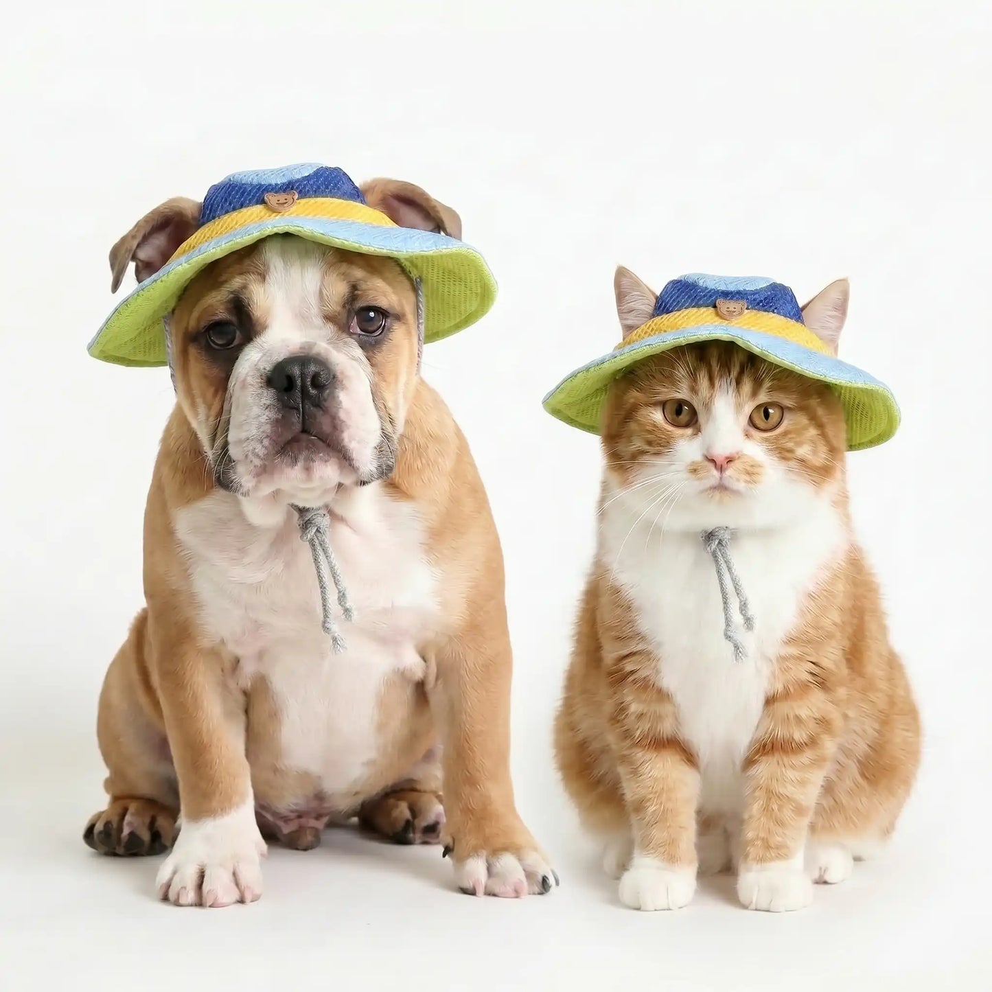 Breezy The Pet Hat