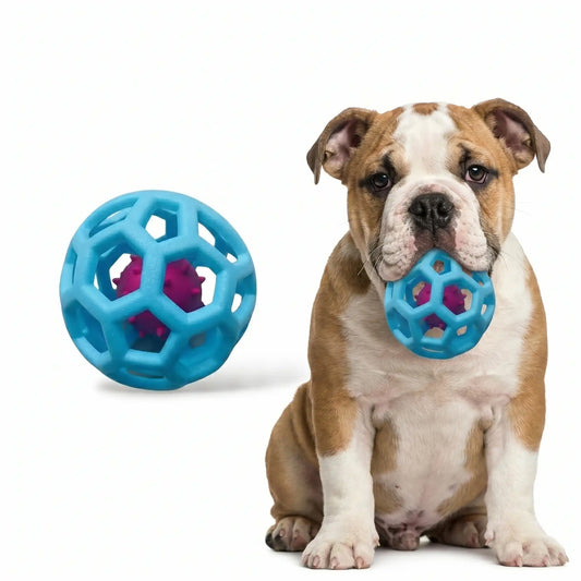 Orbit The Chew Ball