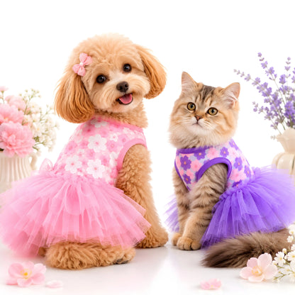 Ballerina Tutu Dress