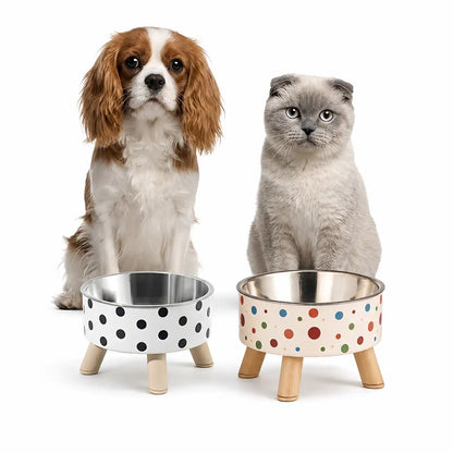 Dine & Shine Elevated Pet Bowl