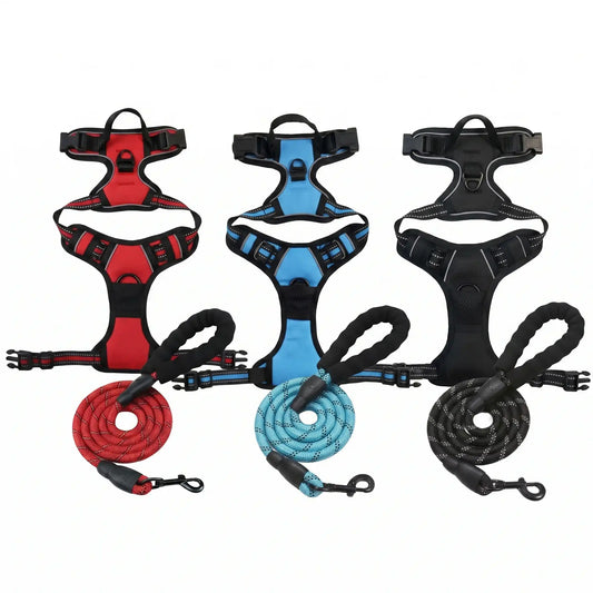Blush Puppies Ultimate Heavy-Duty Harness & Leash Set