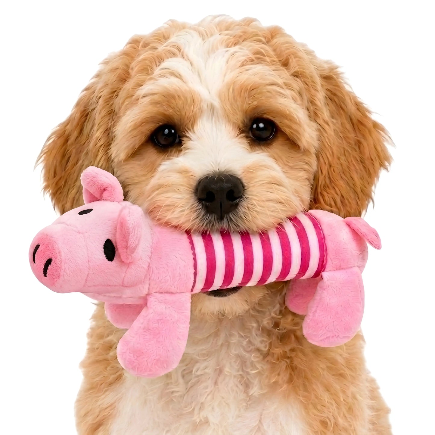 Pogo the Pig Plush Toy