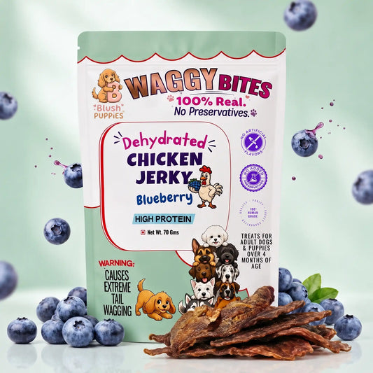 WAGGY Bites Dehydrated Chicken Jerky (Blueberry)