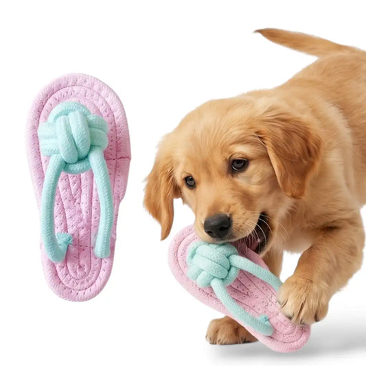 Flippy The Flip Flop Toy