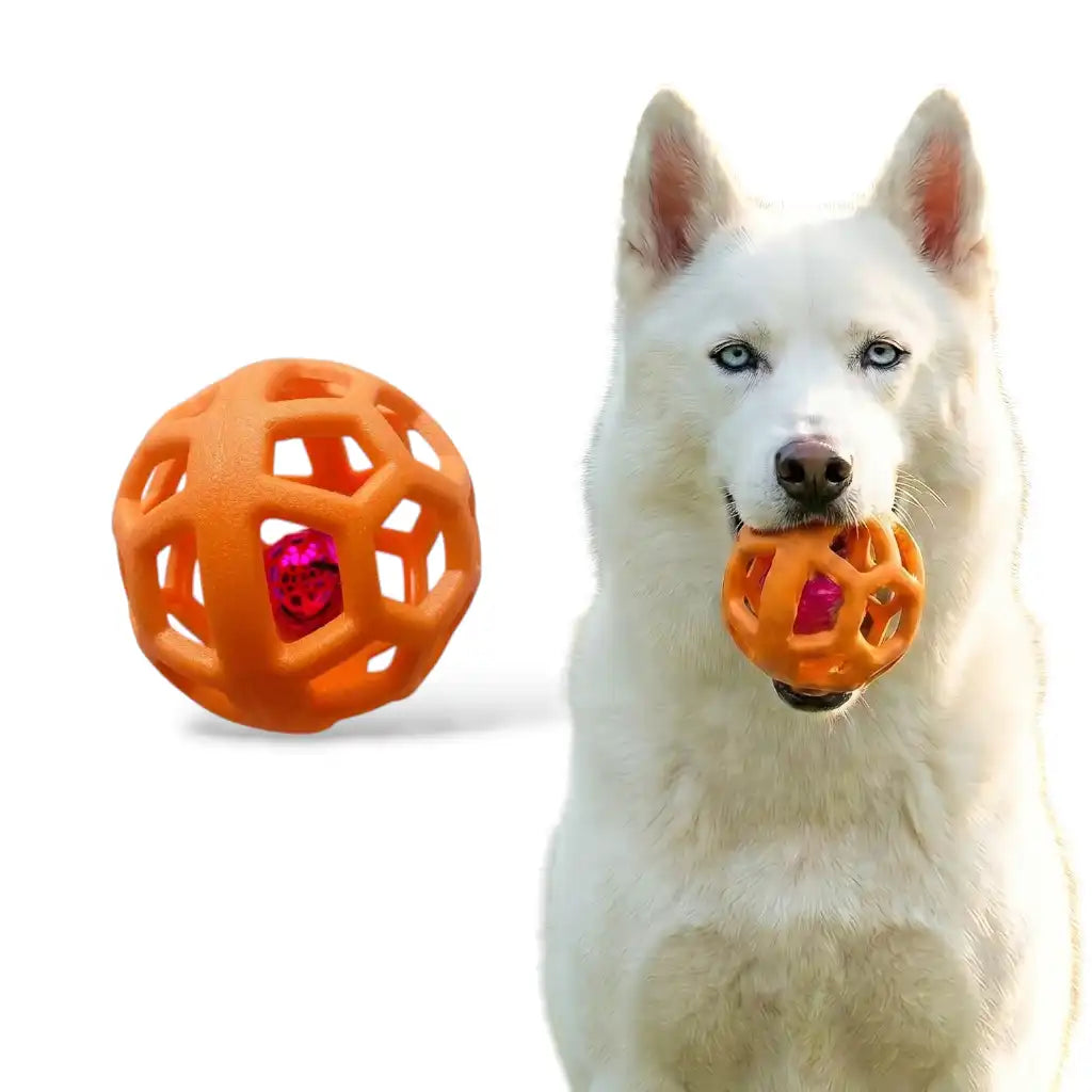 Toughy the Chew Ball