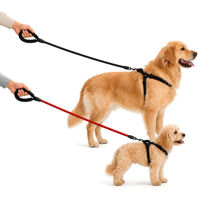 The Ultimate Leash