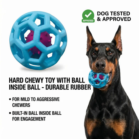 Orbit The Chew Ball