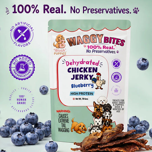 WAGGY Bites Dehydrated Chicken Jerky (Blueberry)