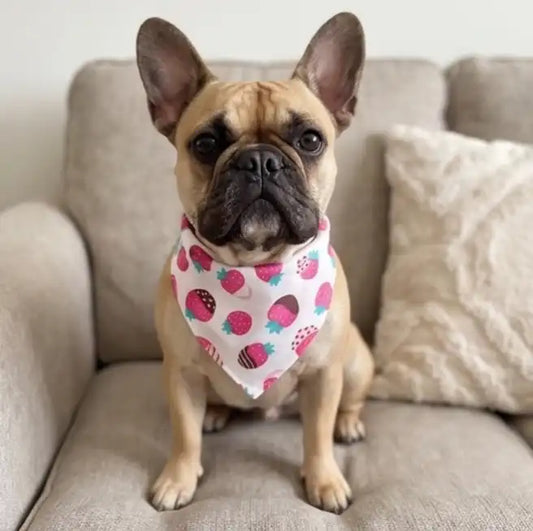 Wipe & Wag Adjustable Dog Scarf & Saliva Towel