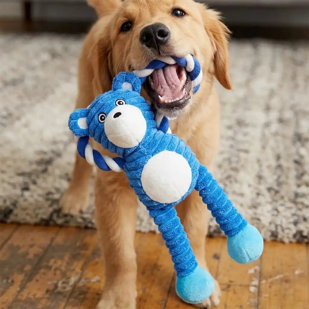 Tuggy the Plush Bear Toy