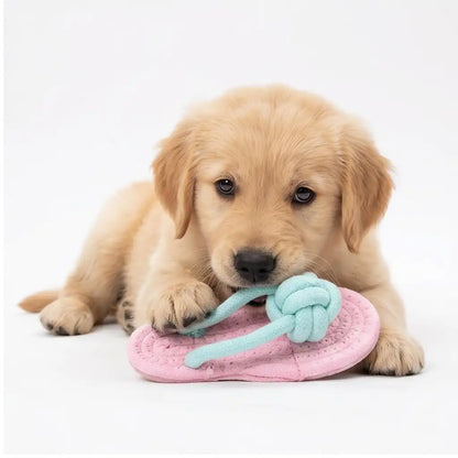 Flippy The Flip Flop Toy