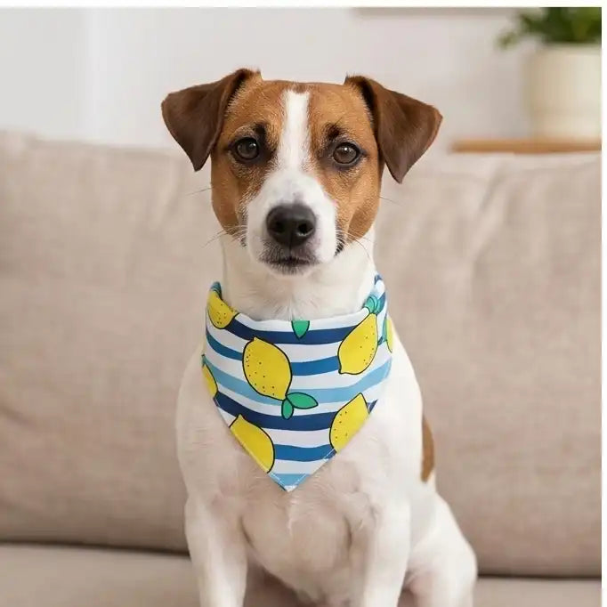 Wipe & Wag Adjustable Dog Scarf & Saliva Towel