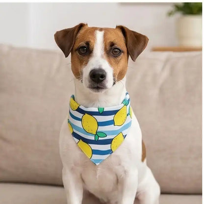Wipe & Wag Adjustable Dog Scarf & Saliva Towel