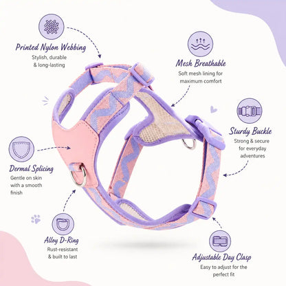 Candy Cloud Harness & Leash Set