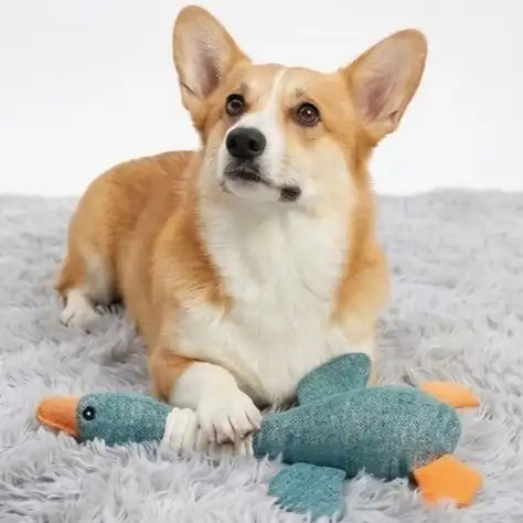 Ducky The Plush Toy