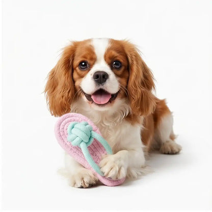 Flippy The Flip Flop Toy