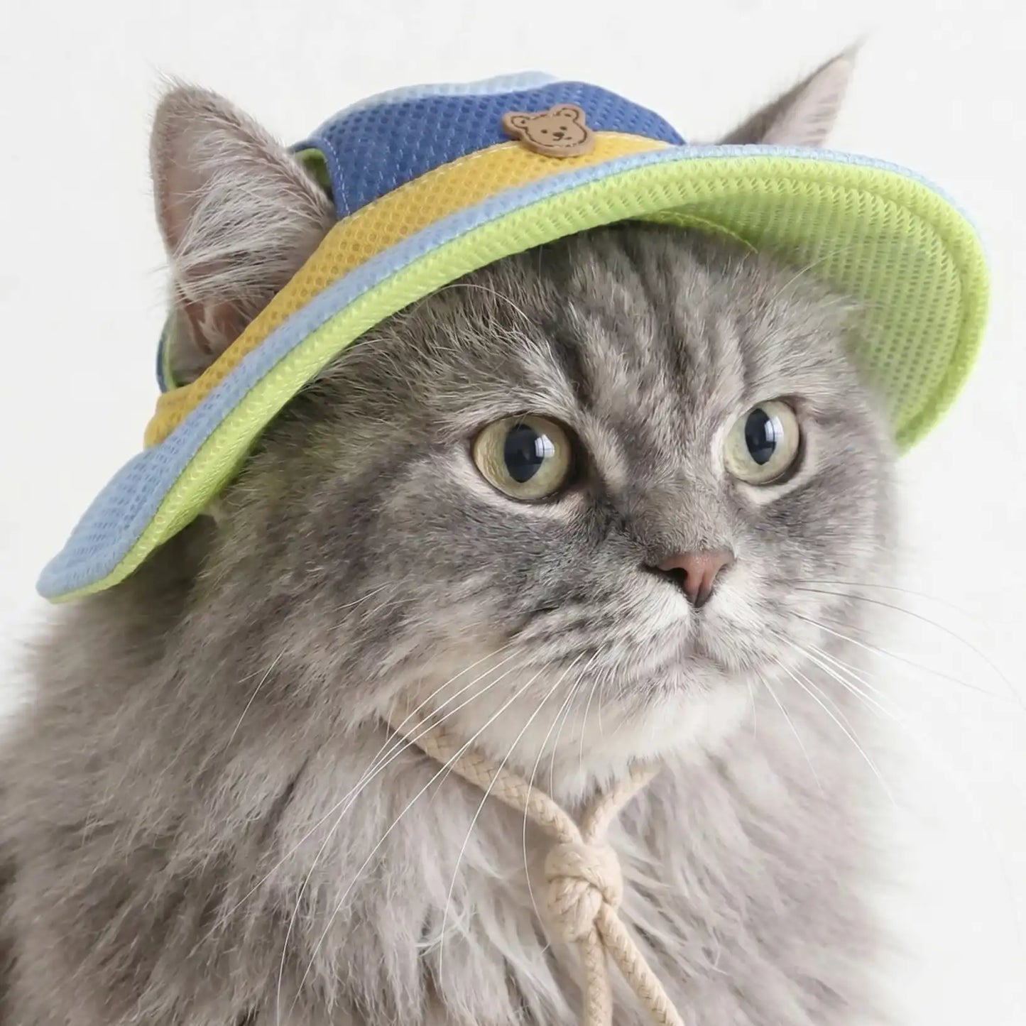 Breezy The Pet Hat