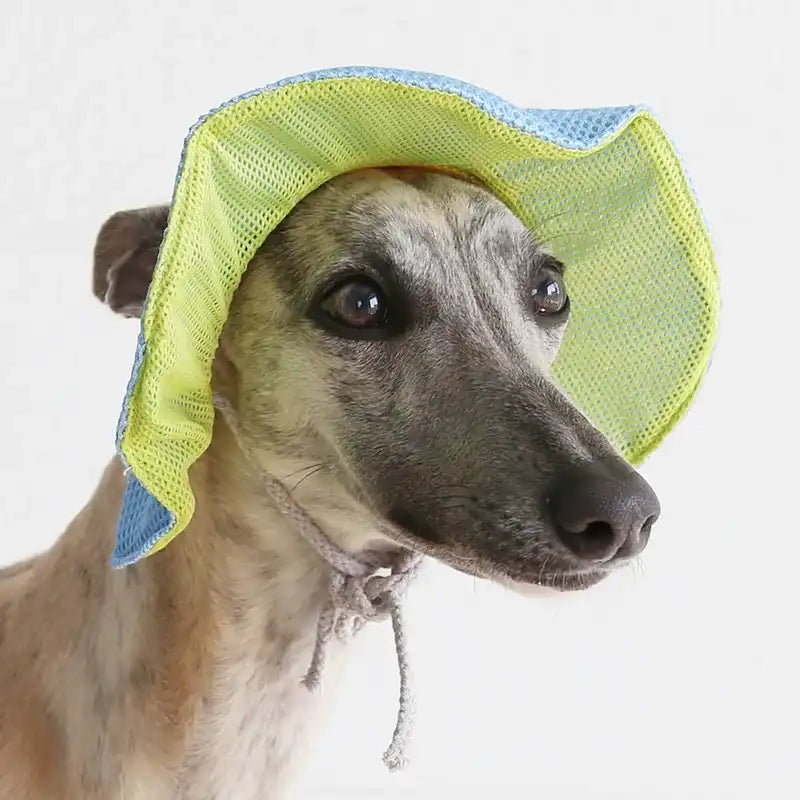 Breezy The Pet Hat