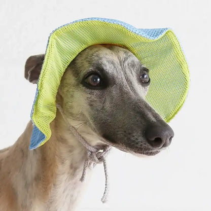 Breezy The Pet Hat