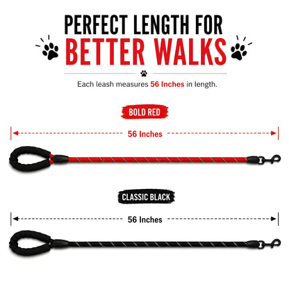 The Ultimate Leash