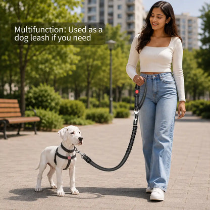 Pawssenger Multi-Use Dog Car Seat Belt