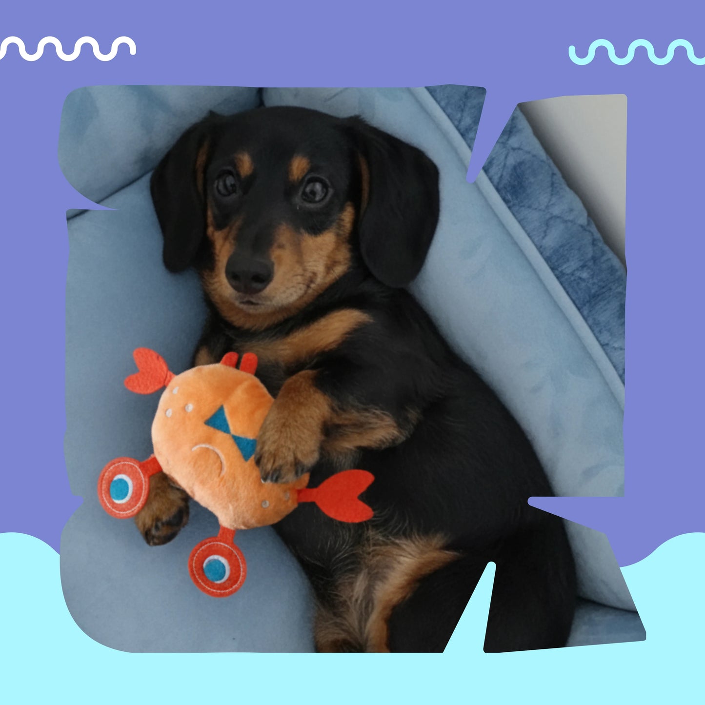 Crabby The Plush Toy