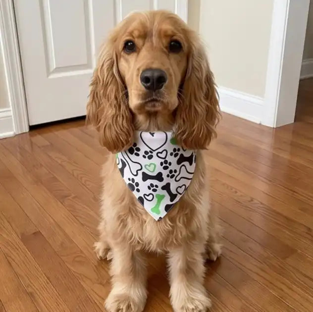 Wipe & Wag Adjustable Dog Scarf & Saliva Towel