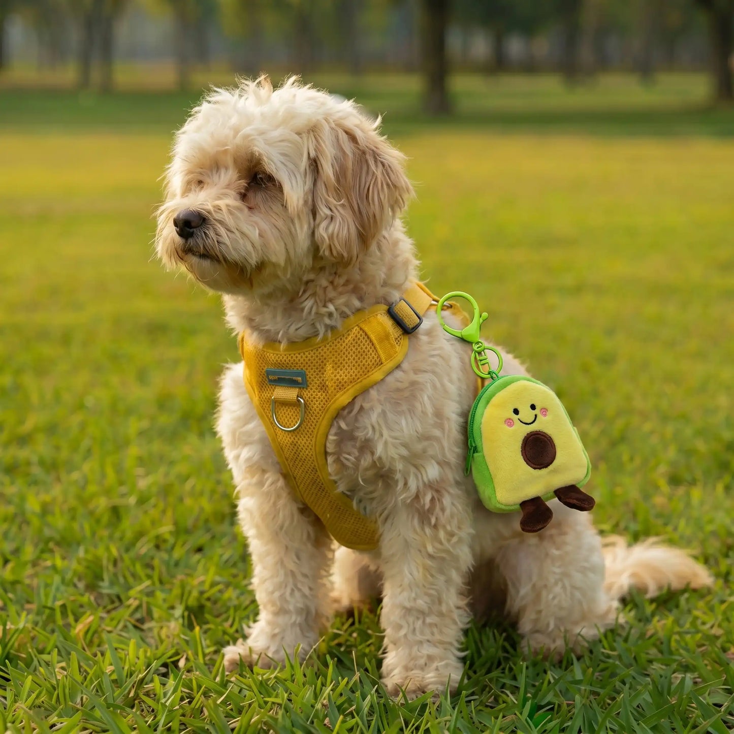 Avie Doggy Pawket