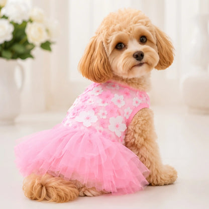 Ballerina Tutu Dress