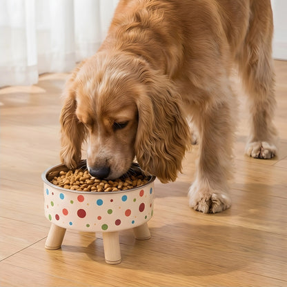 Dine & Shine Elevated Pet Bowl