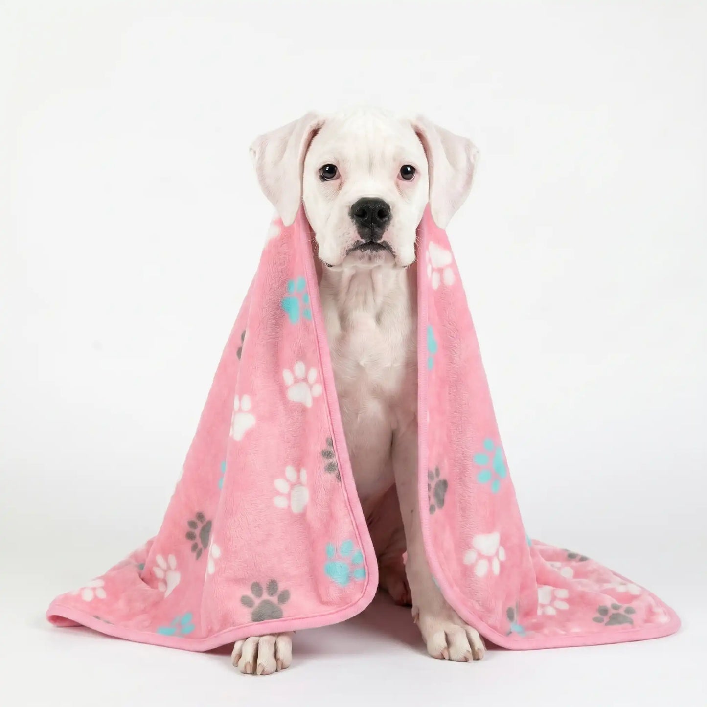 Pink Dream Paws Fleece Blanket