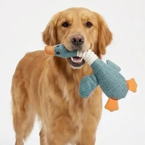 Ducky The Plush Toy