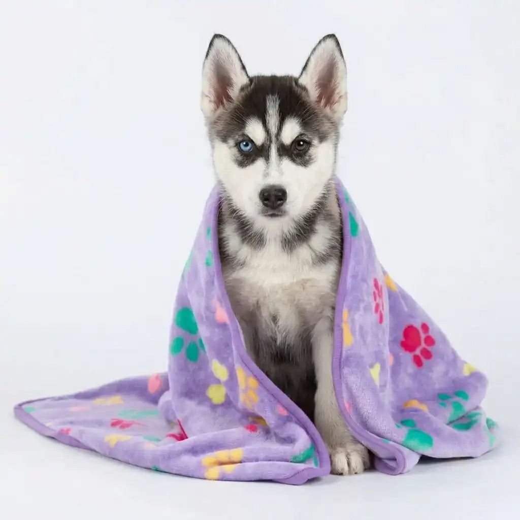 Lavender Paws Fleece Blanket