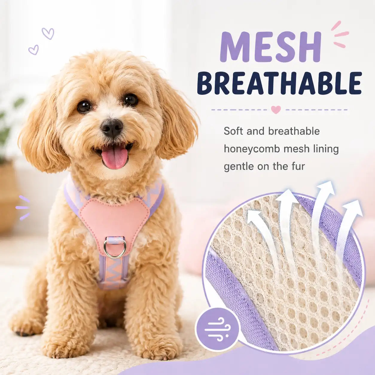 Candy Cloud Harness & Leash Set