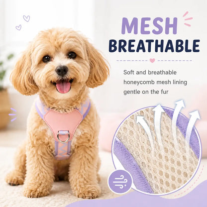 Candy Cloud Harness & Leash Set